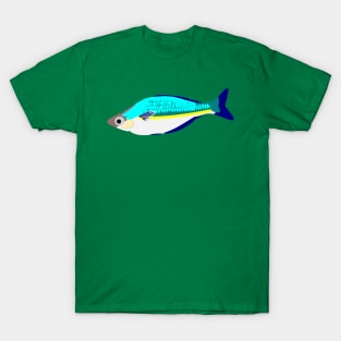 Bosemans Rainbowfish T-Shirt